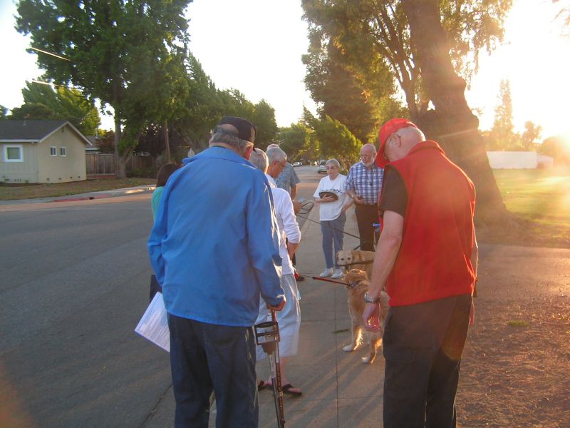 George, Jerry & Dogs