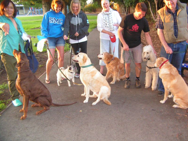 Sable, Buddha, Riley<BR>Teak, Mikey,Caty