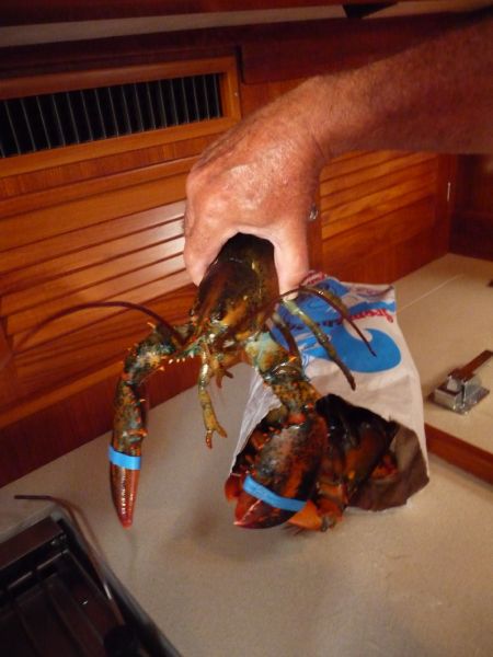 ready for dinner ...