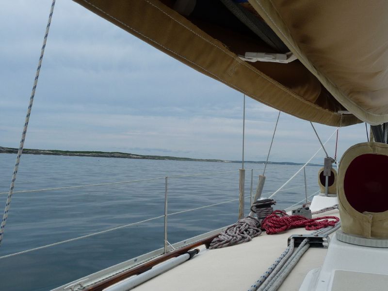 Along Damariscove ...