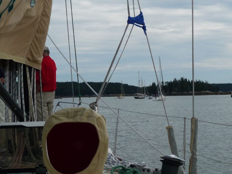 at Buckle Harbor