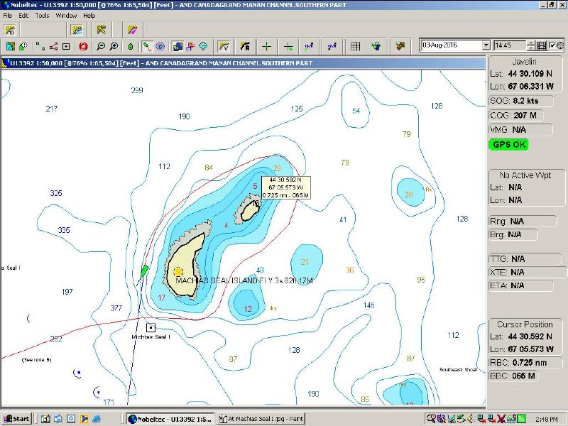 Circled Machias Seal I