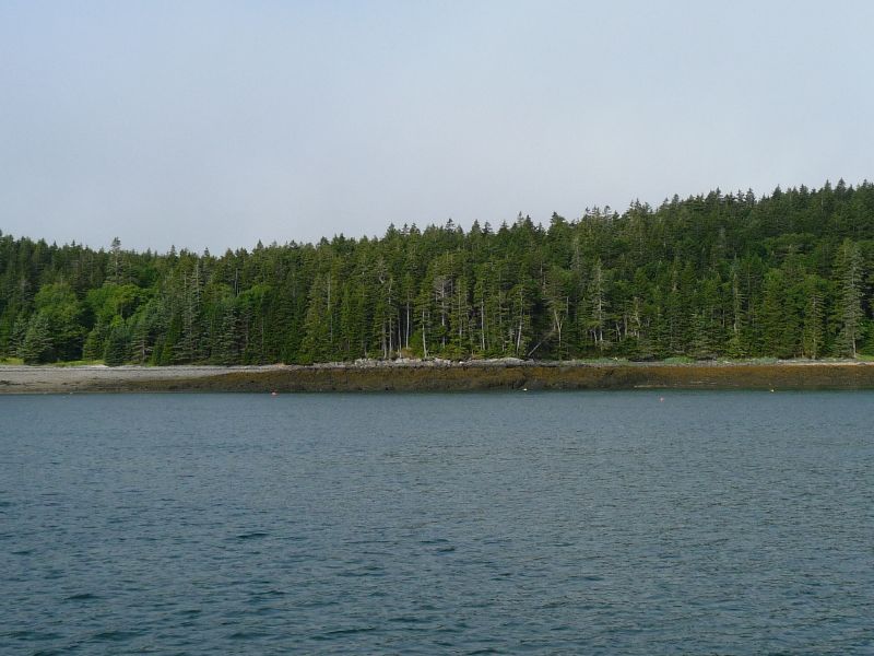 Low tide at Cross ...