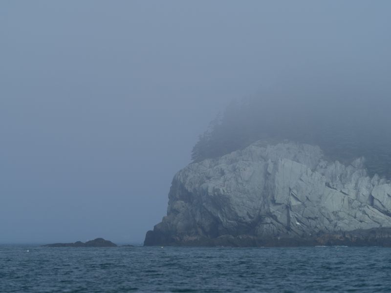 Fog at Starboard I.