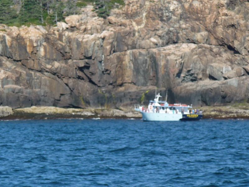 tourist fishing boat.