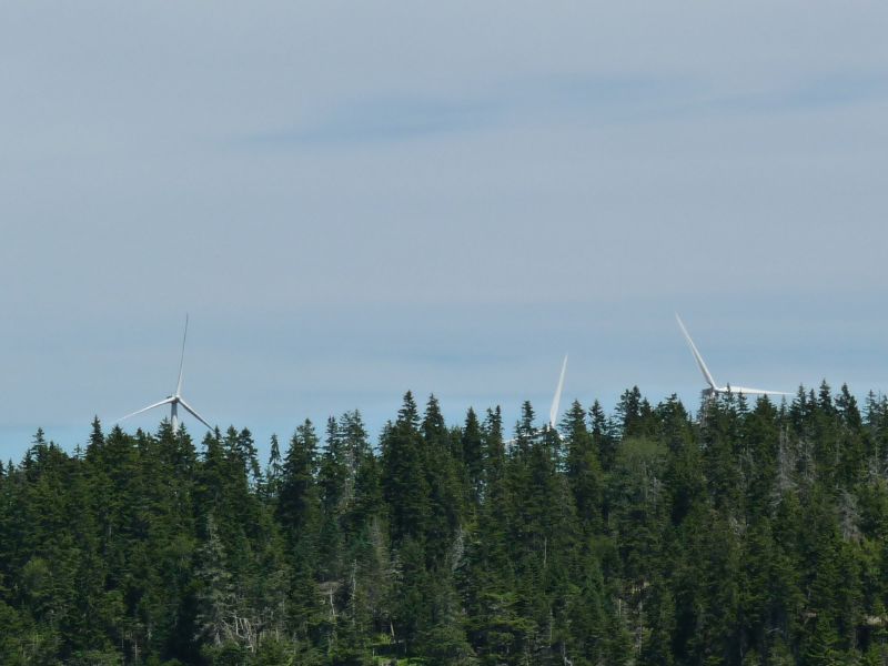 wind turbines?!*%