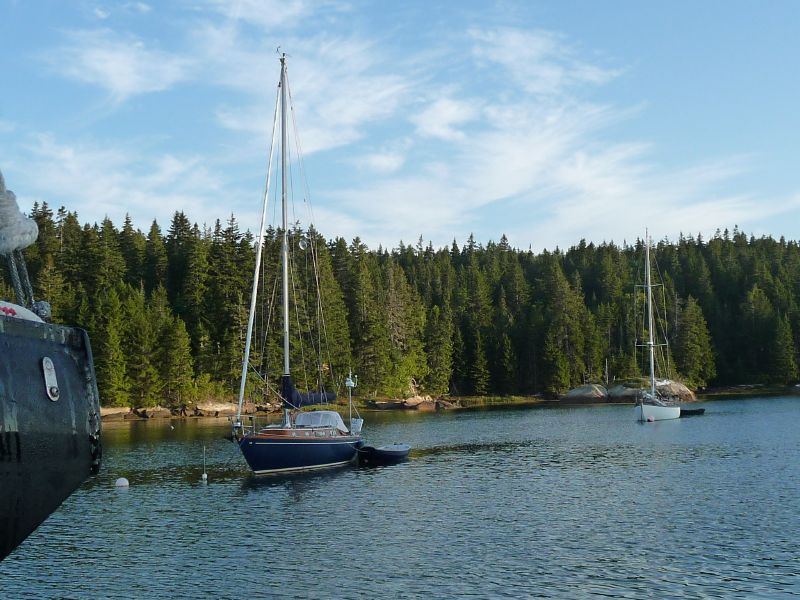 the many anchored ...