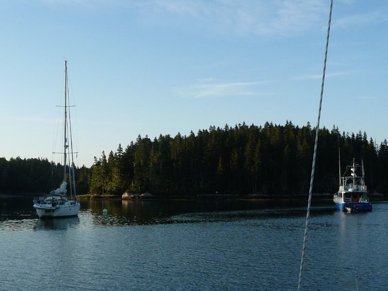 boats in Long Cove ...