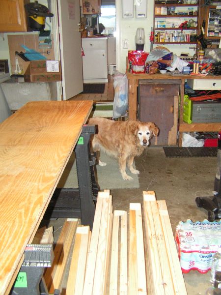 Teak supervises.