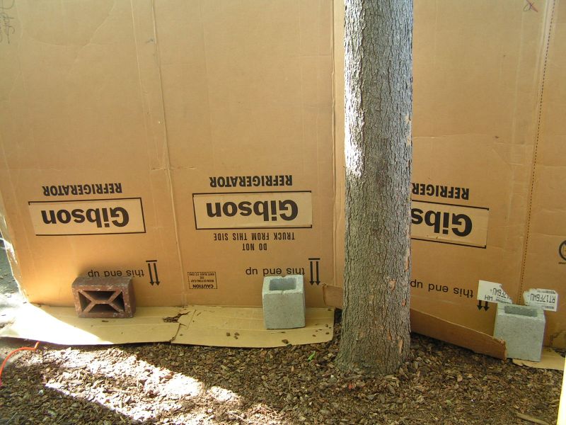 Behind the scenes ...